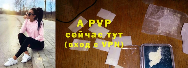хмурый Белокуриха