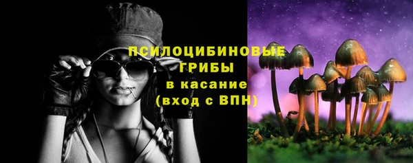 хмурый Белокуриха
