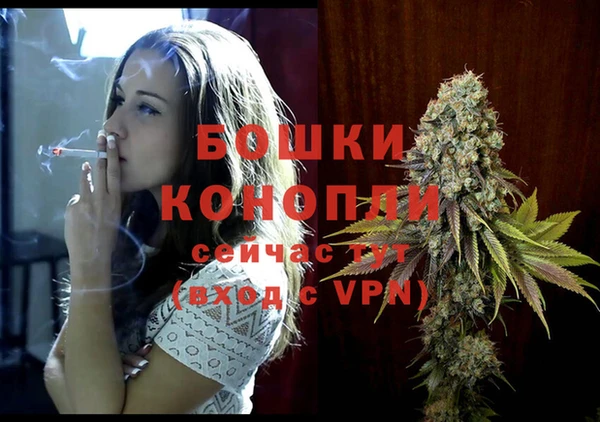 шишки Беломорск