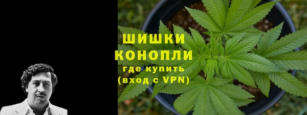 шишки Беломорск