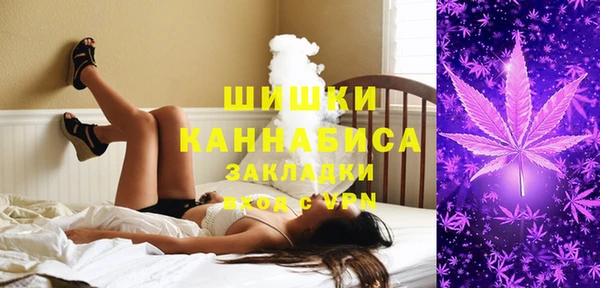 шишки Беломорск