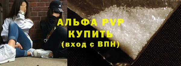 шишки Беломорск